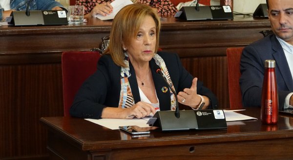 PSOE presenta una moción para mejorar la desratización en los barrios