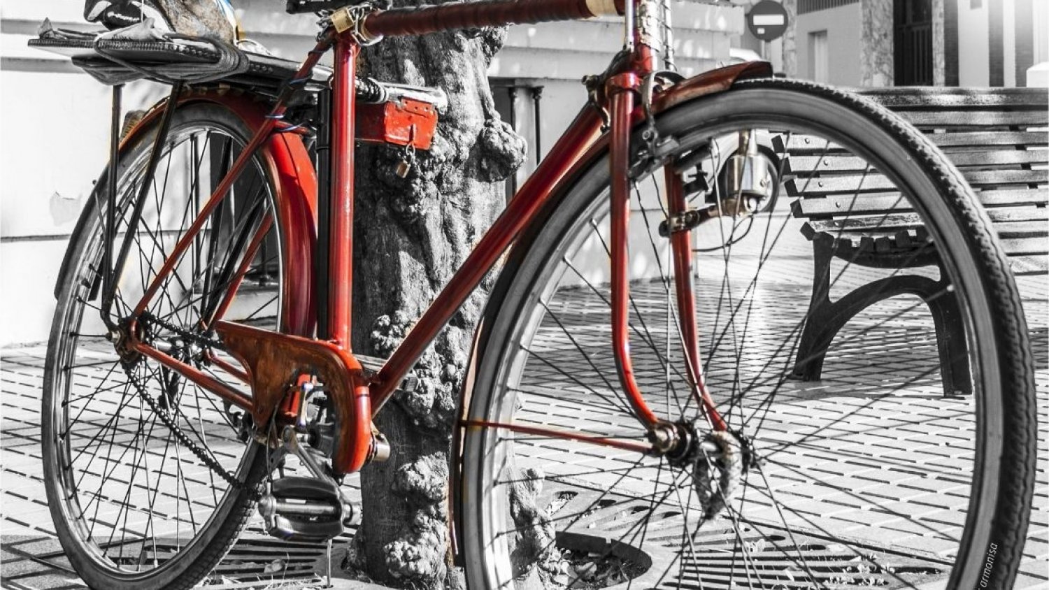 La delegación de Deportes de Vélez-Málaga organiza la XXXIII edición del Día del Pedal