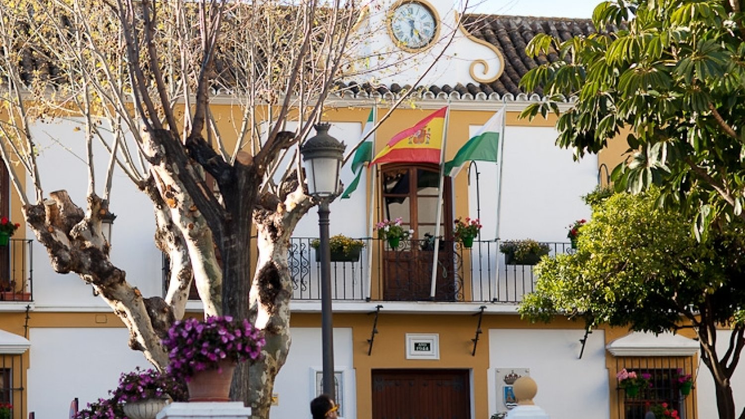 Estepona inicia el trámite para que los ciudadanos realicen gestiones municipales por internet
