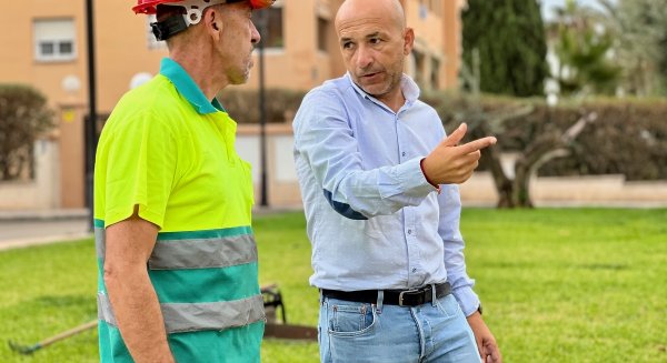 Fuengirola refuerza el servicio de poda para completar la actuación en todas las palmeras de la ciudad