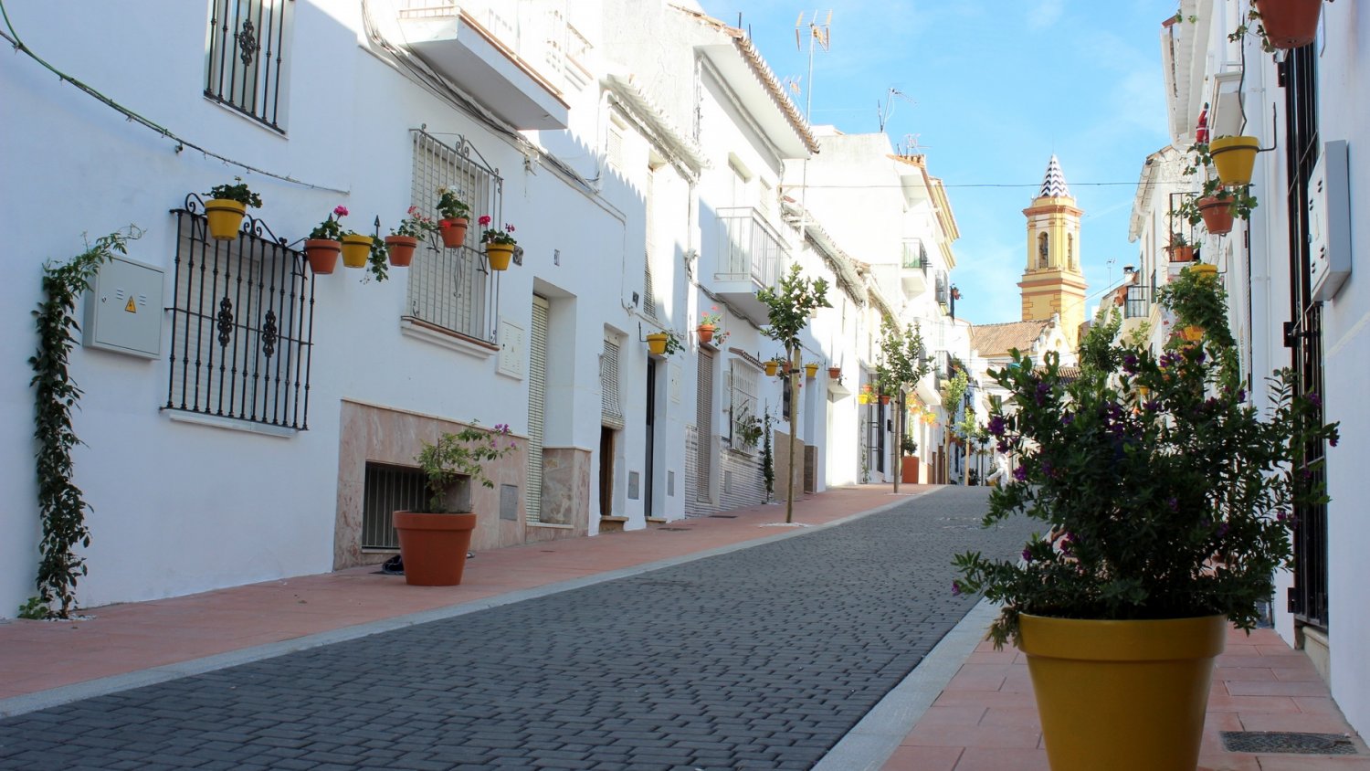 El Ayuntamiento concluye las obras de remodelación de la céntrica calle Pozo de los Palos