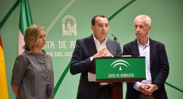 Los malagueños aumentan un 12,2 por ciento las peticiones de citas con el médico por vía telemática