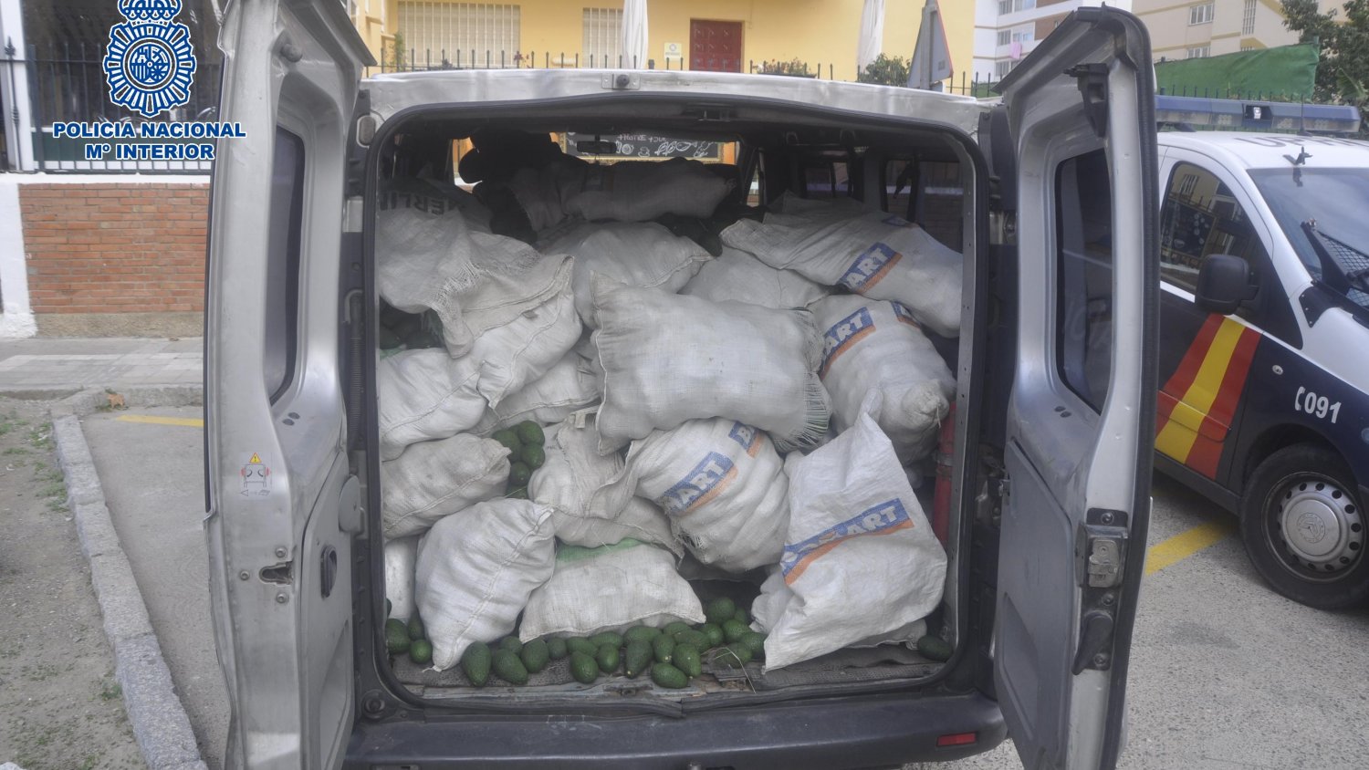Detenidos cuatro miembros de una banda criminal que saqueaba fincas de aguacates