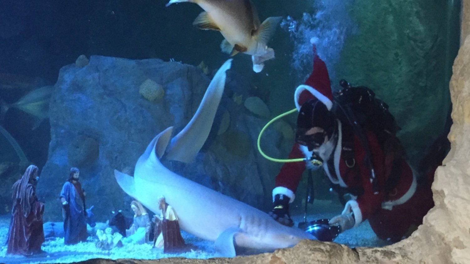 Papá Noel llega a 'Sea Life Benalmádena'