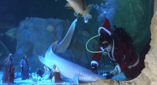 Papá Noel llega a 'Sea Life Benalmádena'