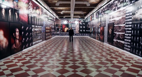 La Térmica ofrece visitas guiadas a la exposición Anticorps