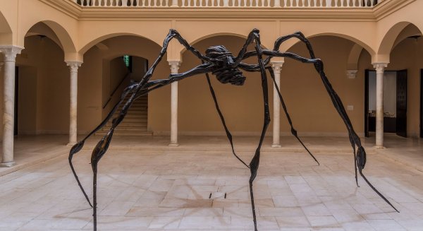 Málaga acoge el V Seminario de Arte e Inclusión que organiza el Museo Picasso