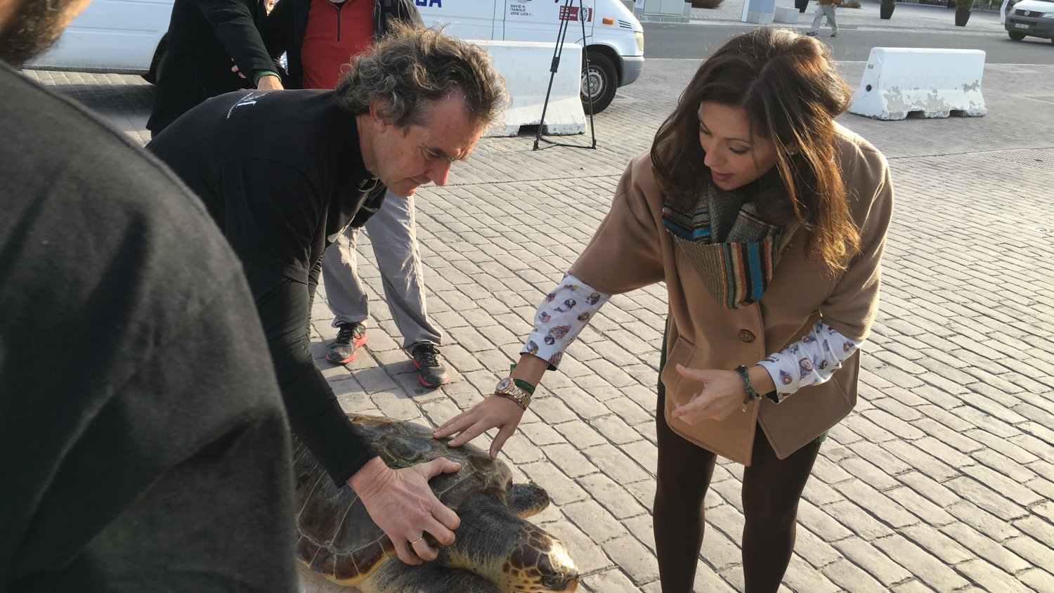 El Crema libera a la tercera tortuga marina del año tras su recuperación en El Aula del Mar