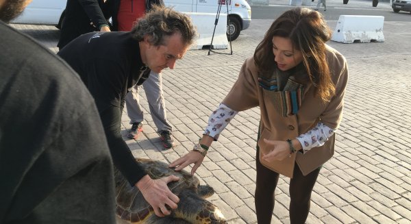 El Crema libera a la tercera tortuga marina del año tras su recuperación en El Aula del Mar