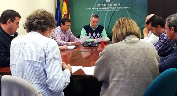Junta y organizaciones agrarias reiteran al Gobierno que apruebe la suelta del parásito Torymus sinensis para luchar contra la avispilla