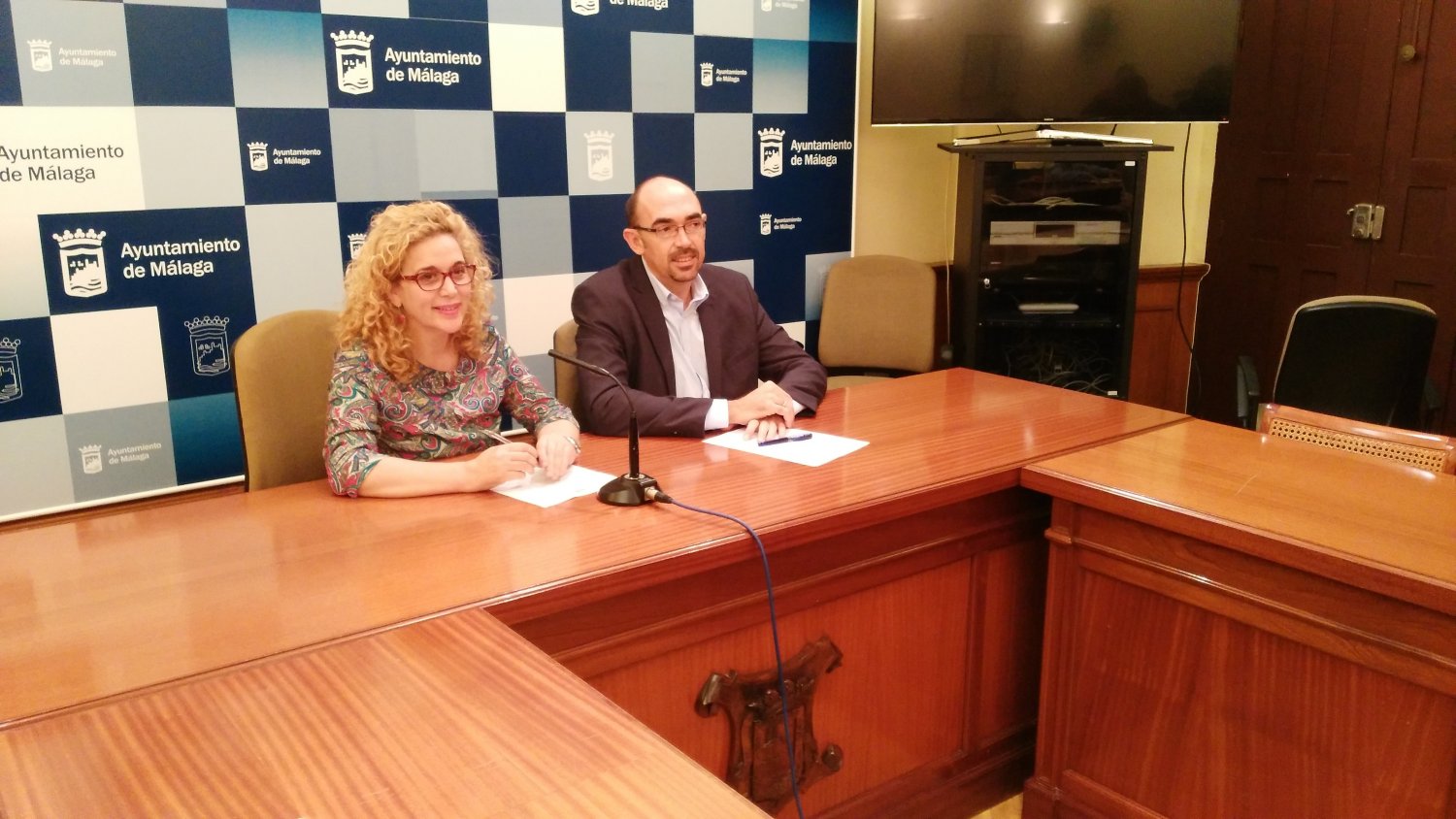 IU-Málaga para la Gente pide que se reduzca el gasto en decoración navideña