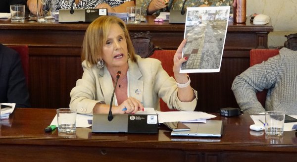 PSOE lamenta que el PP se niegue a poner en marcha un plan estratégico de limpieza para los barrios de Málaga