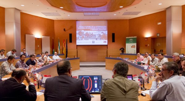 Profesionales del 061 abordan en Málaga los retos futuros en acciones humanitarias y grandes desastres