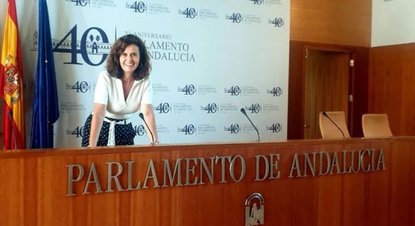 Por Andalucía pregunta por los cortes eléctricos en barrios andaluces y el plan de la Junta para evitarlos