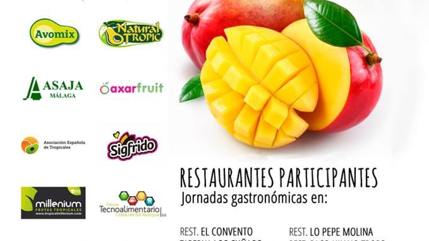 Vélez-Málaga acoge el primer Festival Gastronómico del Mango de la Axarquía