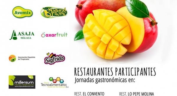 Vélez-Málaga acoge el primer Festival Gastronómico del Mango de la Axarquía