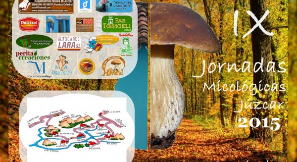 Las IX Jornadas Micológicas de Júzcar incluyen rutas para recolectar setas y elaboración de recetas