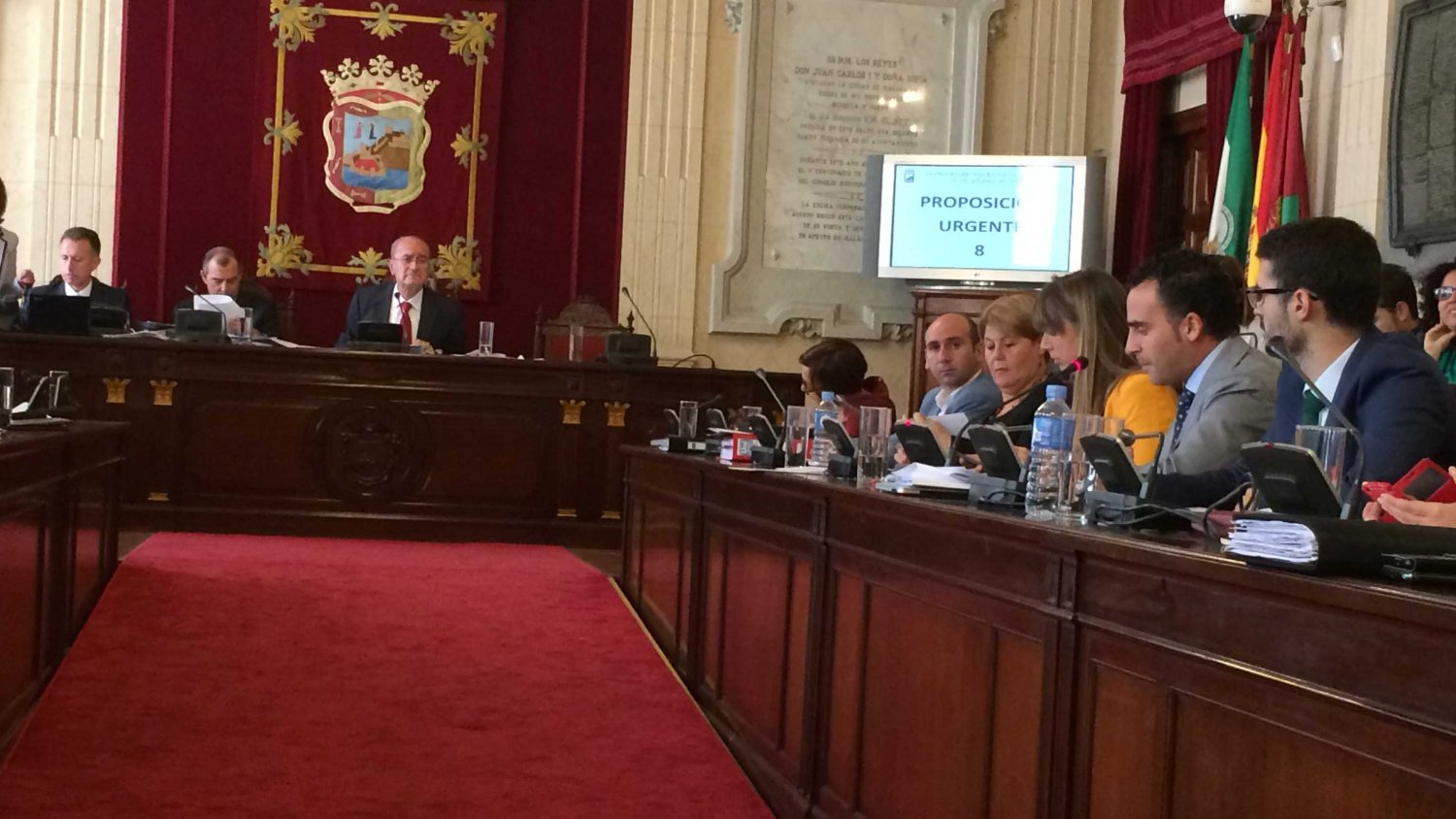 El Pleno abrueba la adhesión al Manifiesto Felino y la regulación de las colonias de gatos