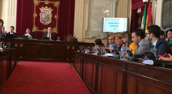 El Pleno abrueba la adhesión al Manifiesto Felino y la regulación de las colonias de gatos