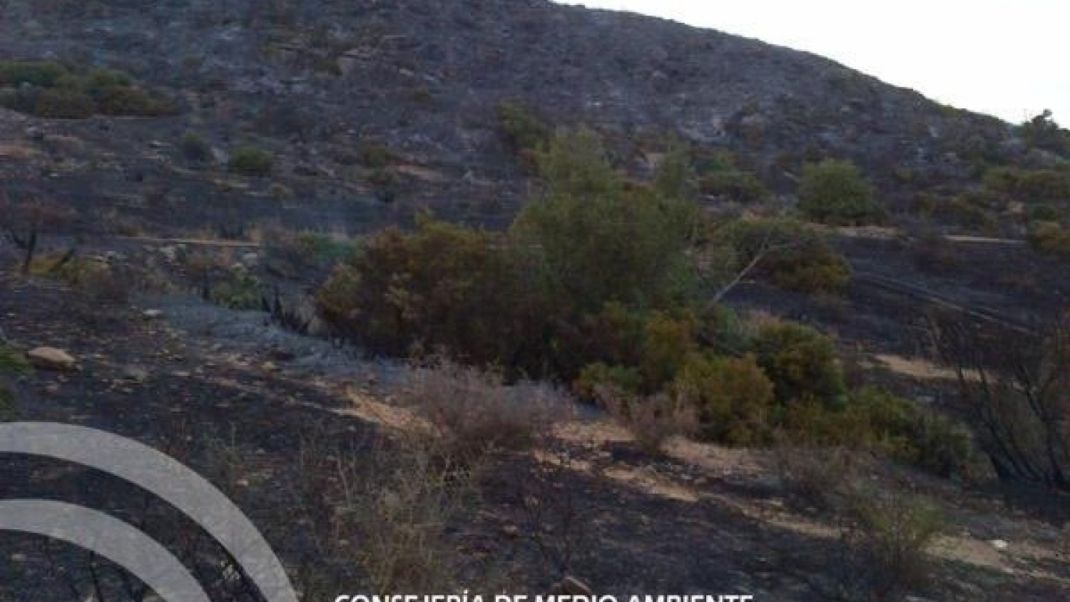 Imputado un cabrero como presunto autor de siete incendios forestales intencionados