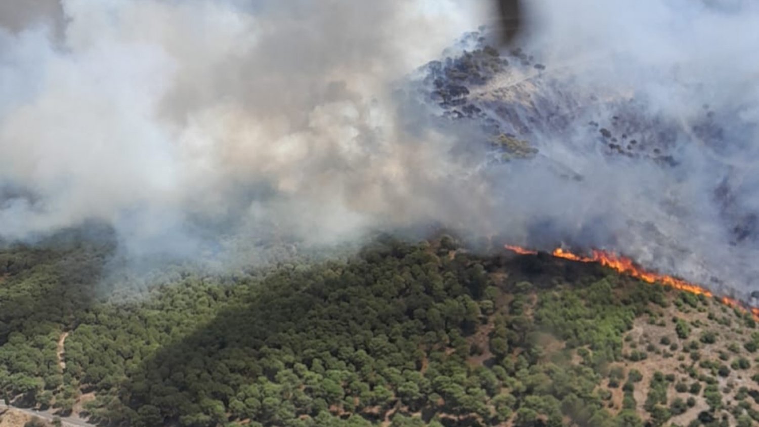 La Junta destina más de 2,2 millones para las obras de emergencia en el área afectada por el incendio de Mijas