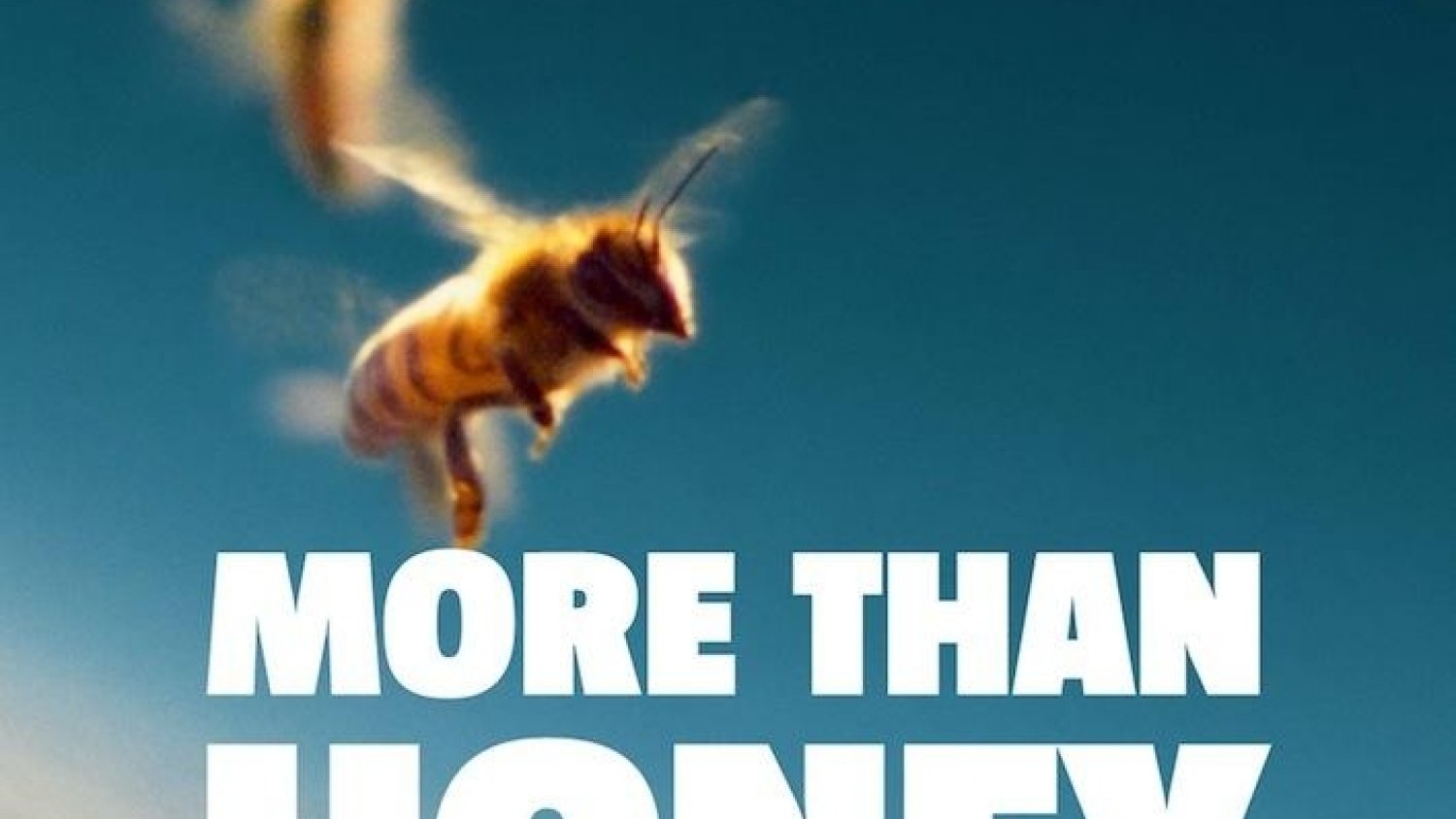 El Centro Cultural Provincial acoge la proyección del documental 'More than Honey'