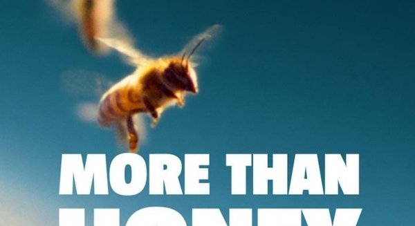 El Centro Cultural Provincial acoge la proyección del documental 'More than Honey'
