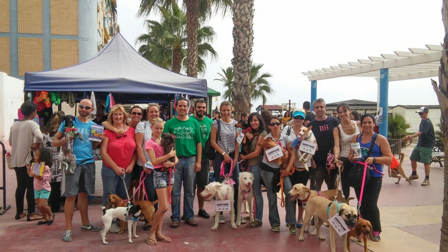 El Ayuntamiento propone declarar a Rincón de la Victoria 'Ciudad amiga de los animales'