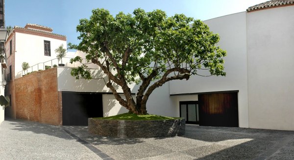 El Museo Picasso se inscribe en el Registro de huella de carbono, compensación y proyectos de absorción de CO2 del Gobierno