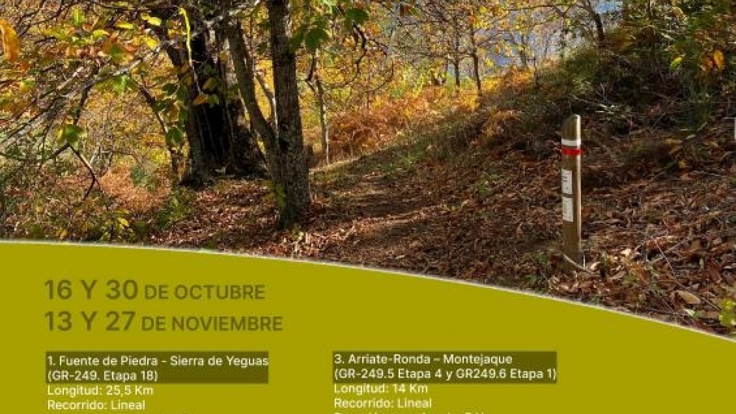 Diputación recupera las visitas interpretativas a rutas de la Gran Senda