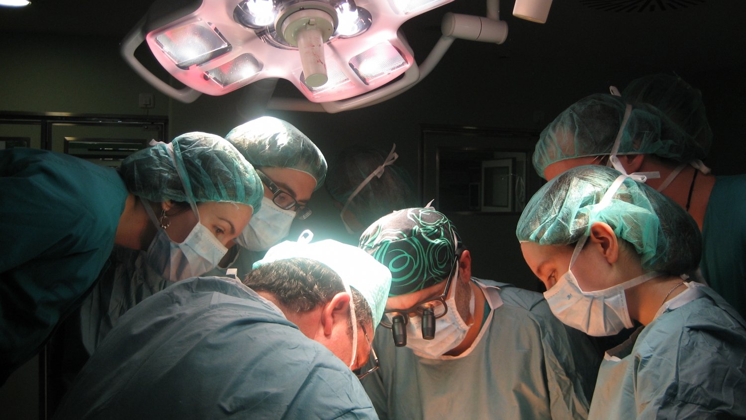 Málaga acoge a más de 200 especialistas en el congreso de la Sociedad Española de Transplante Hepático