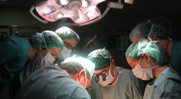 Málaga acoge a más de 200 especialistas en el congreso de la Sociedad Española de Transplante Hepático