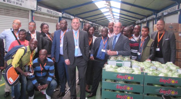 Técnicos de Angola se fijan en Mercamálaga para crear el primer Mercado Mayorista en Luanda