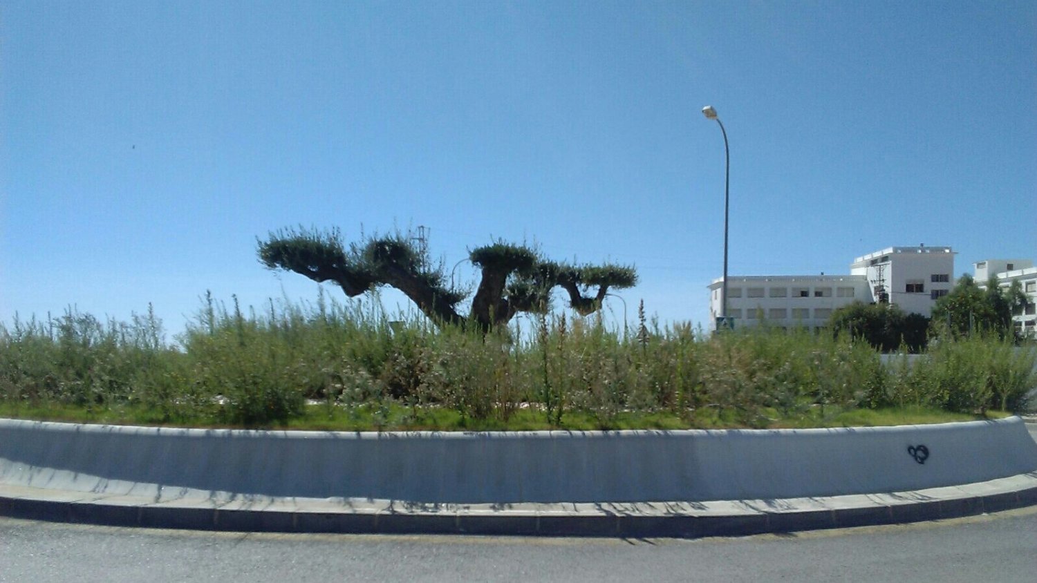 El Ayuntamiento de Rincón inicia la contratación para el mantenimiento de las zonas verdes del sector de La Marina