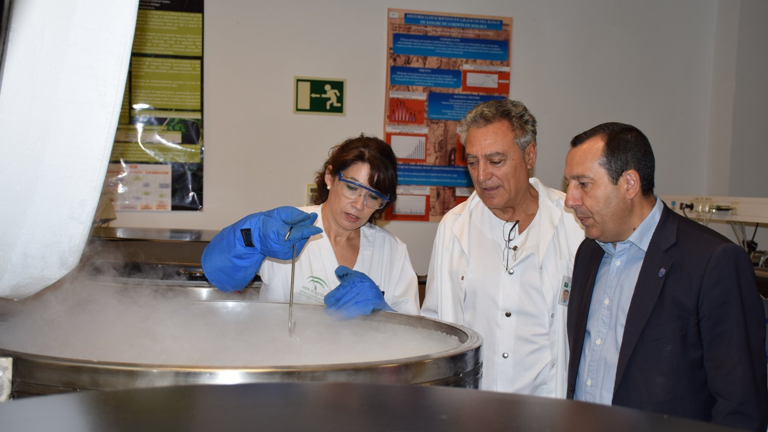 El Centro de Transfusión realiza el tipaje de 19.982 donantes andaluces de médula ósea