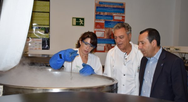 El Centro de Transfusión realiza el tipaje de 19.982 donantes andaluces de médula ósea