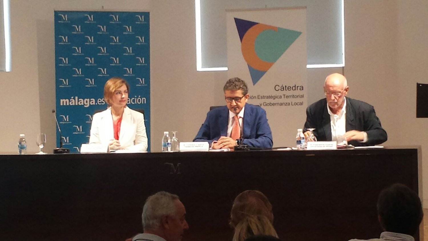 El Comité Asesor de la Cátedra de Planificación Estratégica reúne a una veintena de expertos