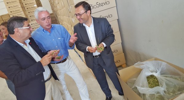 El PSOE exige al Gobierno que 