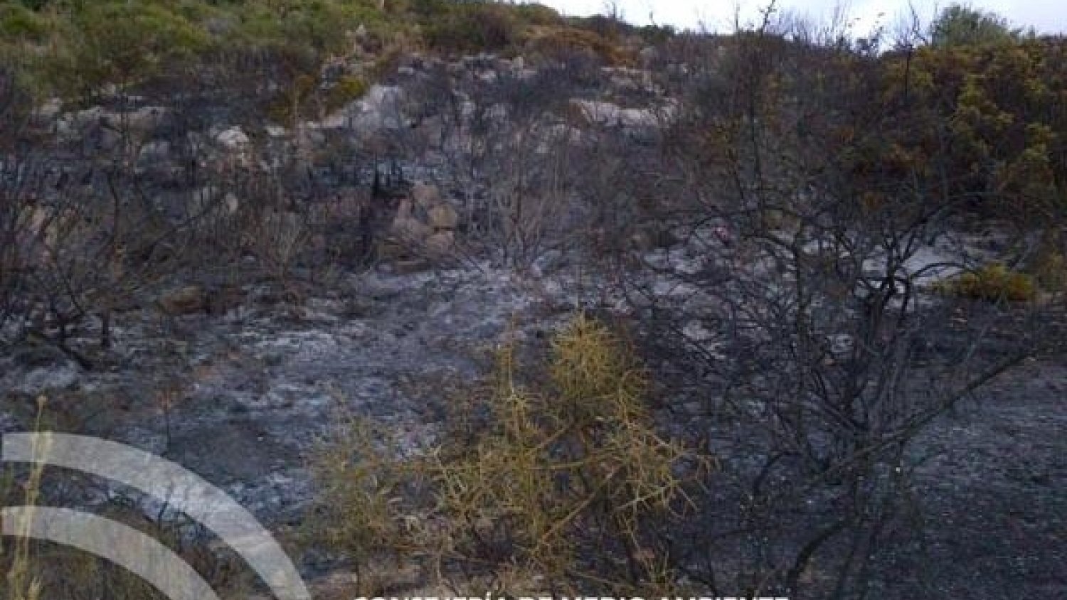 Extinguido el incendio declarado en Casares
