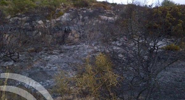 Extinguido el incendio declarado en Casares
