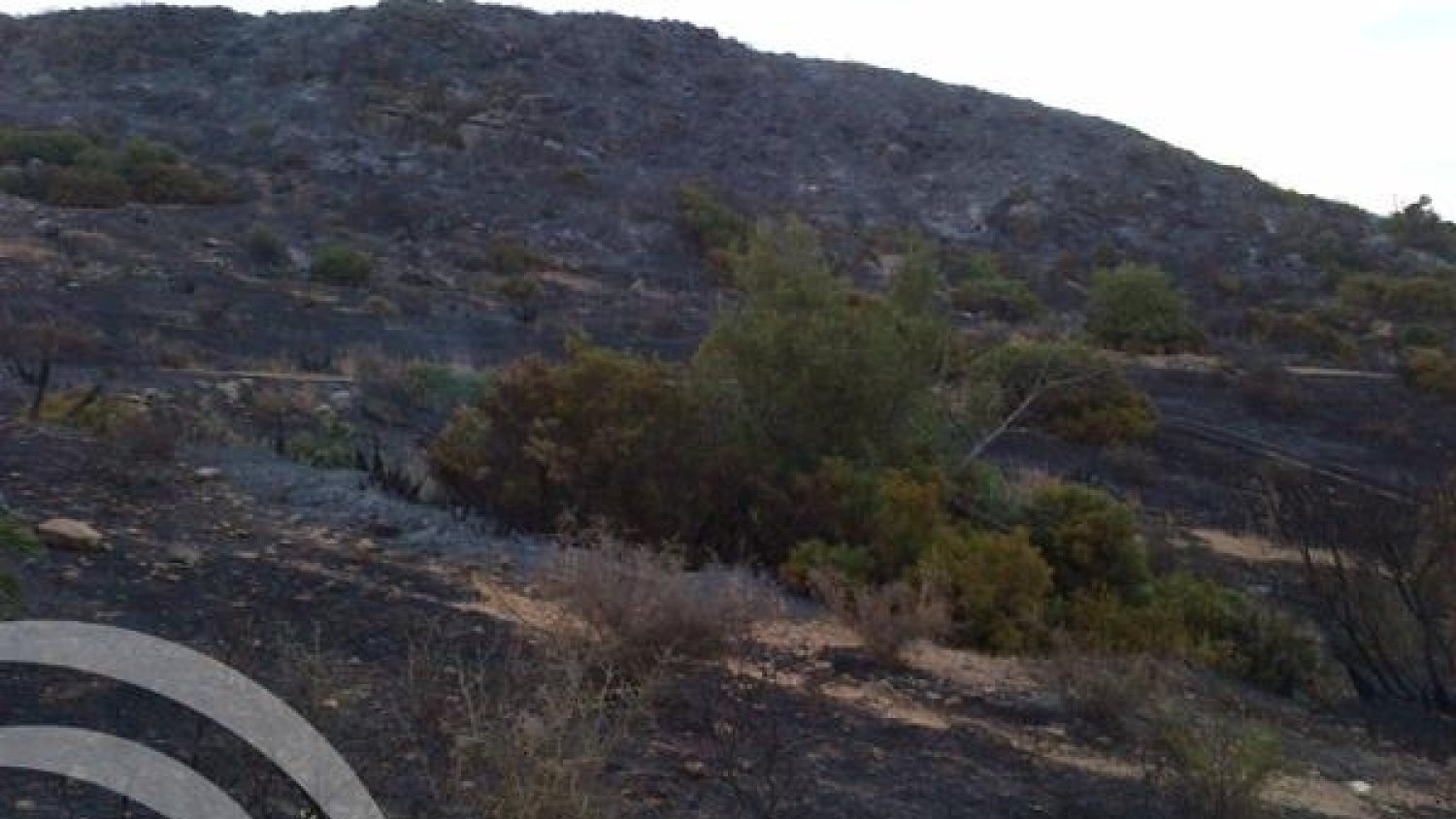 Controlado el incendio declarado en Casares, que afecta a unas 75 hectáreas