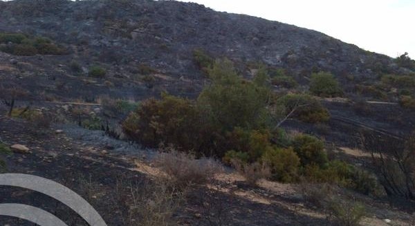 Controlado el incendio declarado en Casares, que afecta a unas 75 hectáreas