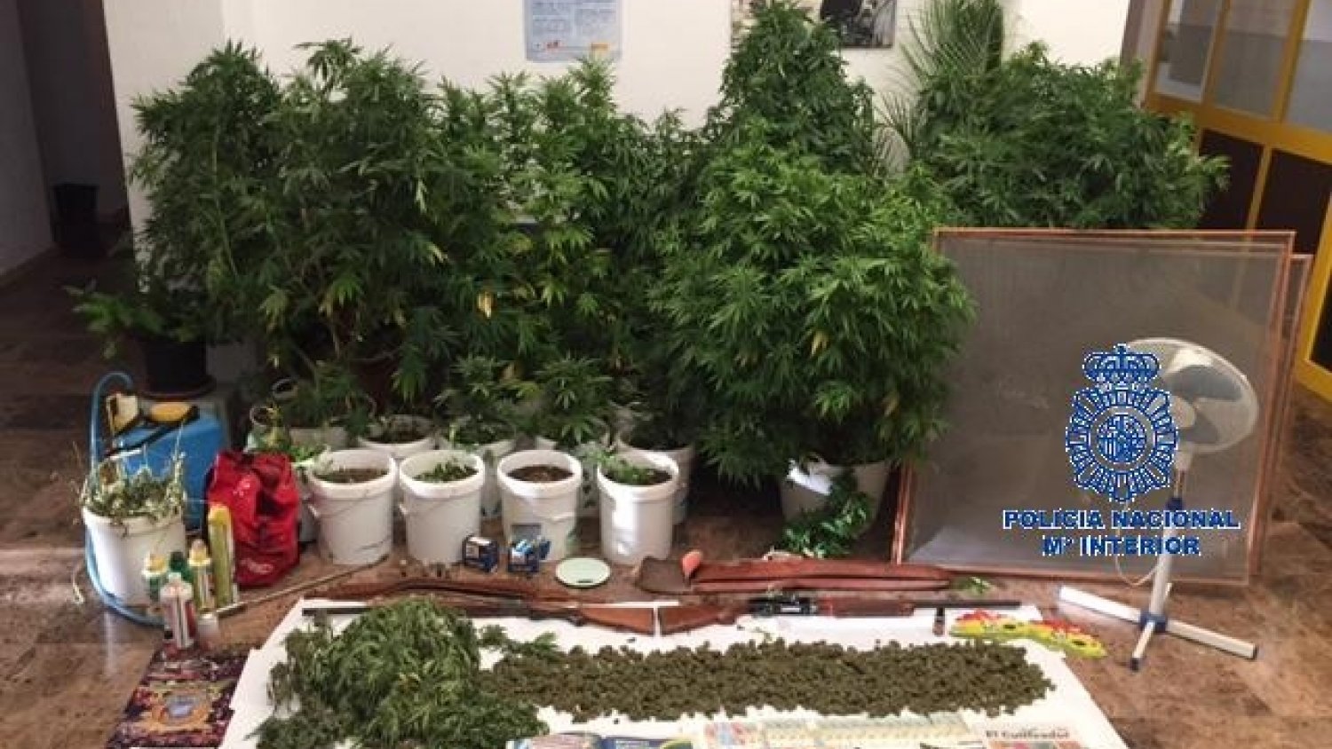 Detenidas cuatro personas e incautados 10 kilos de marihuana en una vivienda de Málaga