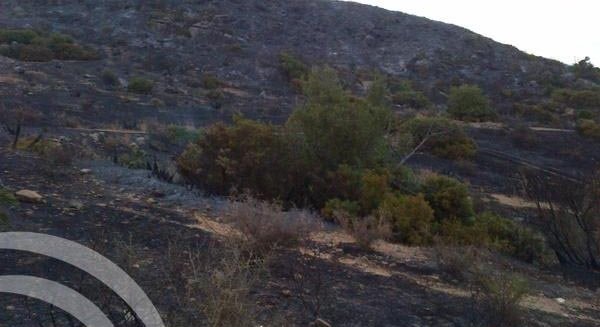Estabilizado un incendio que afecta a un paraje en Casares