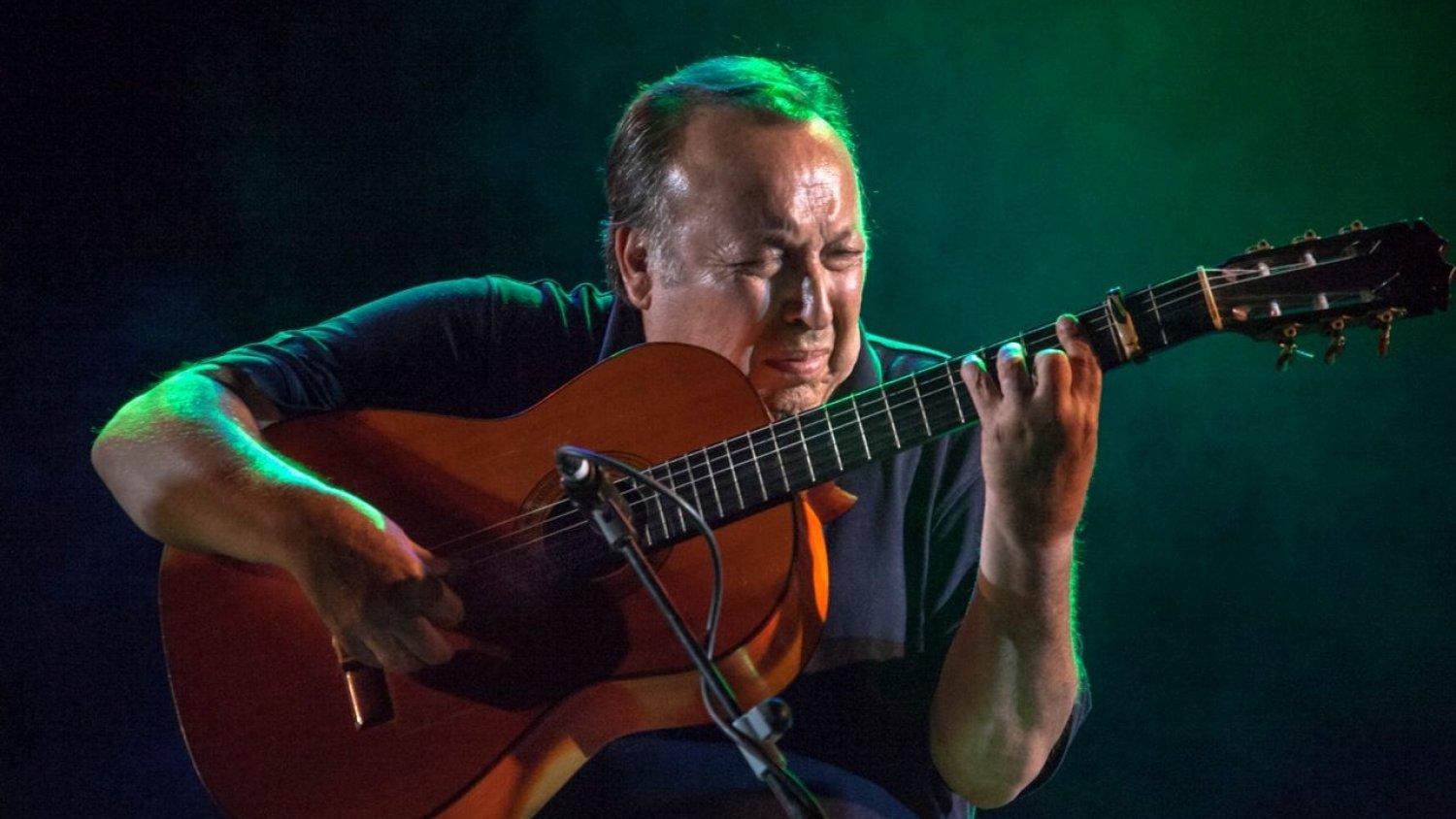 La IV Bienal de Arte Flamenco entra en su recta final con las actuaciones de Paco Cepero y de Farruquito