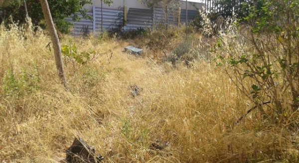 El Ayuntamiento de Rincón realiza unas 150 actuaciones de mejora en los centros educativos de cara al inicio del curso escolar