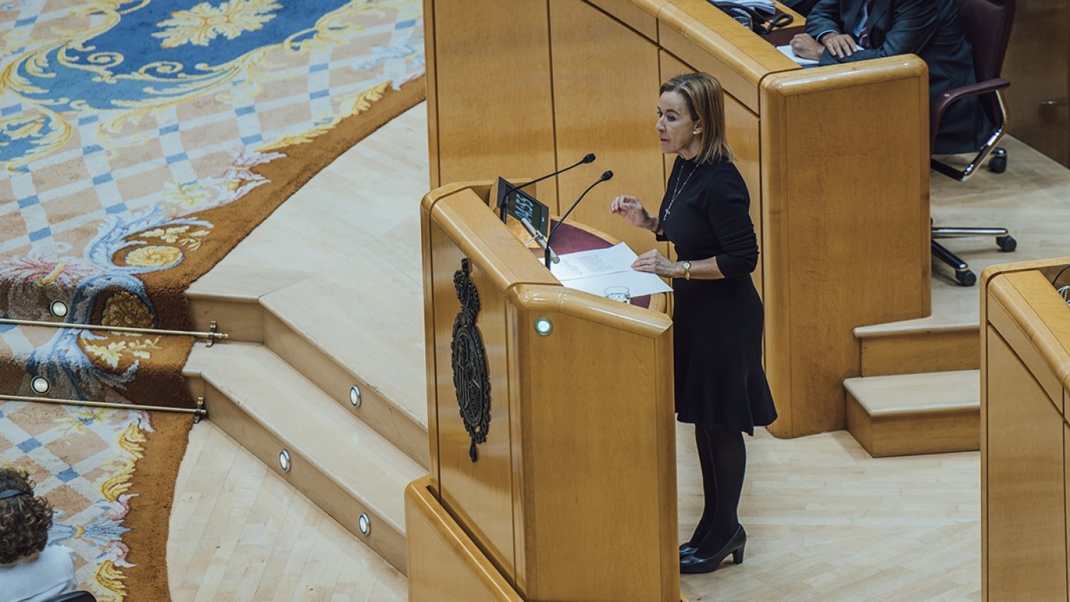 VOX logra en el Senado que se acepten ayudas directas por hijo y facilidades para acceder a la vivienda