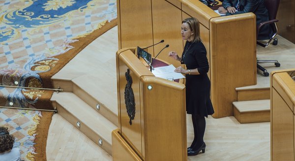 VOX logra en el Senado que se acepten ayudas directas por hijo y facilidades para acceder a la vivienda