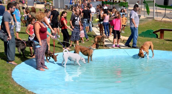 Estepona repartirá 100.000 bolsas para que los dueños de perros mantengan limpia la vía pública