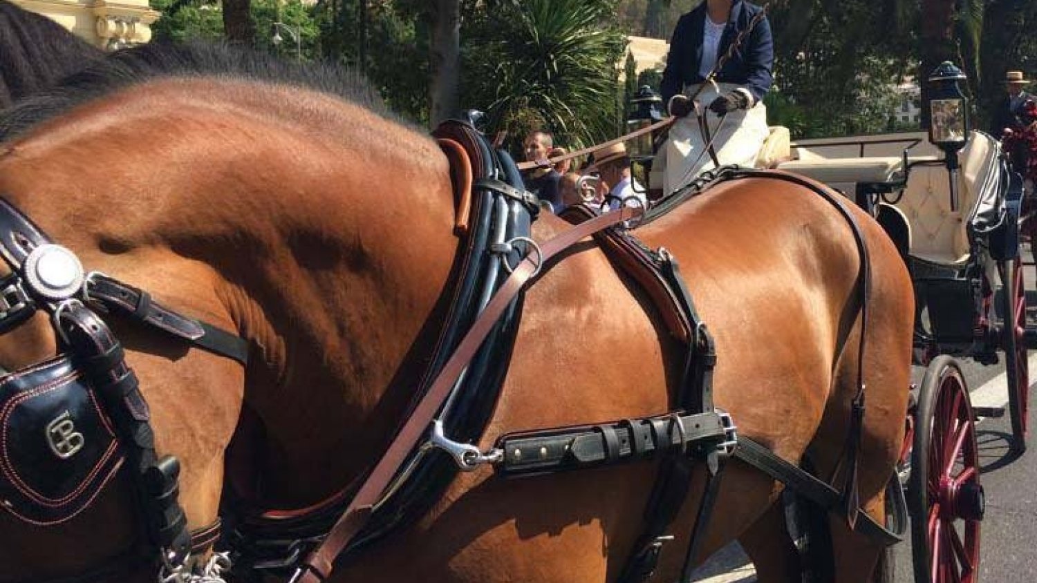 C's plantea sustituir los coches de caballos por vehículos de época eléctricos